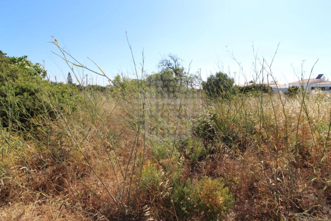 Terreno para Venda em Lagos (São Sebastião e Santa Maria) Foto 1