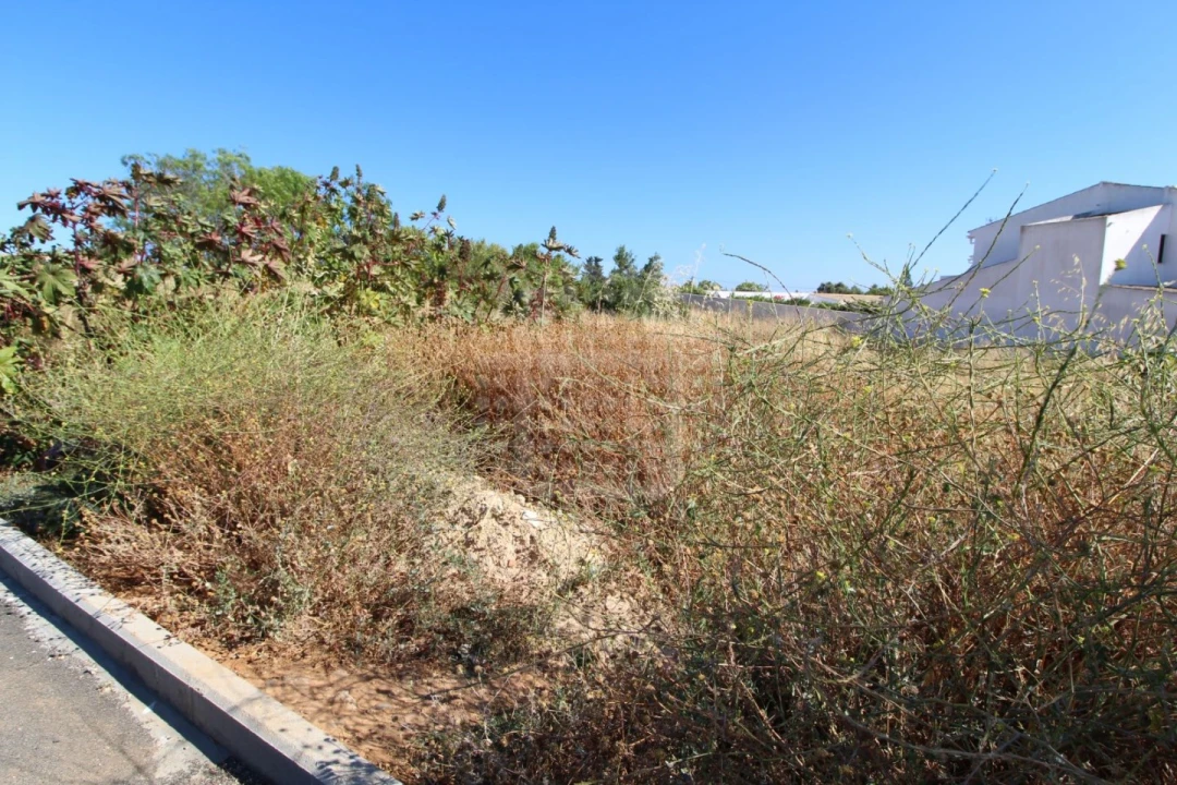 Terreno para Venda em Lagos (São Sebastião e Santa Maria) Foto 3