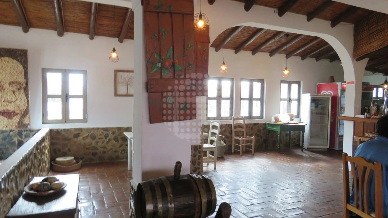 Negócio para Venda em Querença, Tôr e Benafim Foto 7