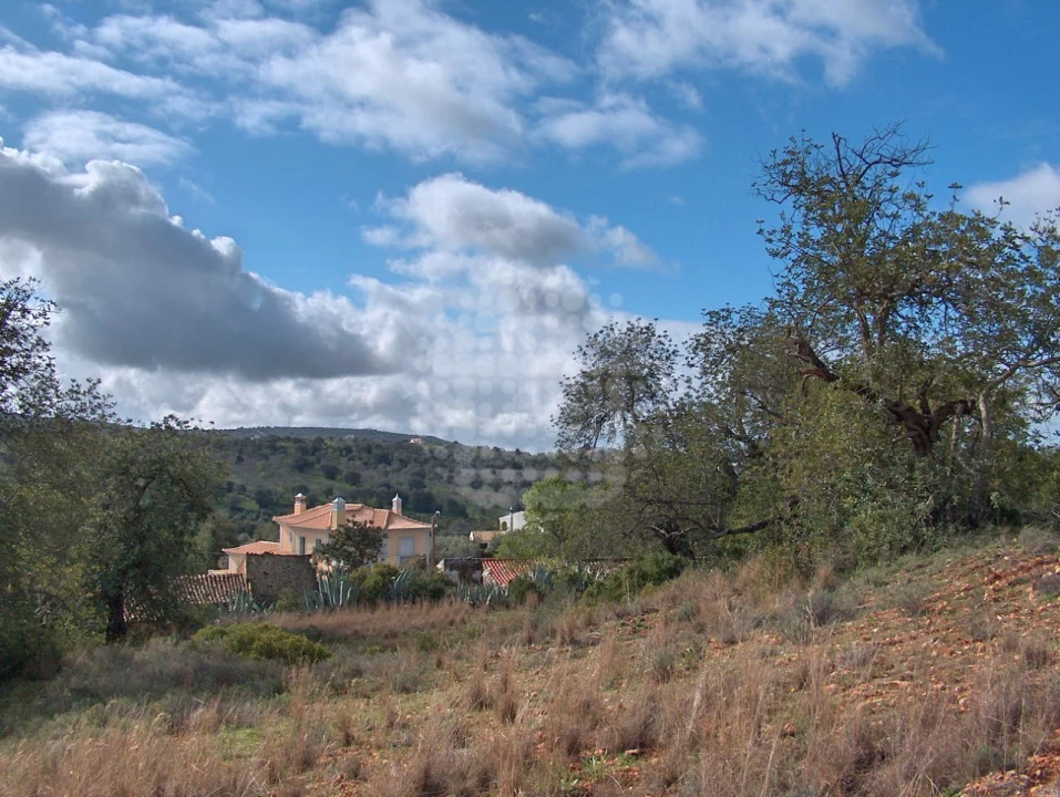 Terreno Misto para Venda em Loule (São Clemente) Foto 13