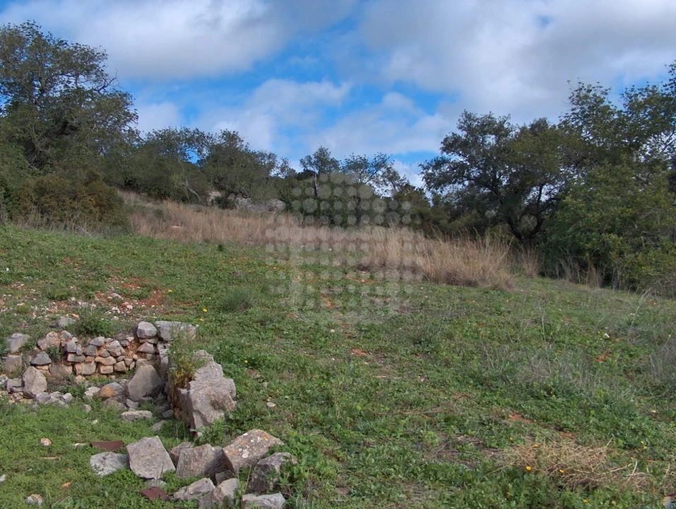 Terreno Misto para Venda em Loule (São Clemente) Foto 14