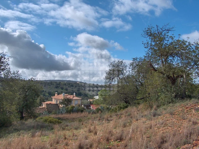 Terreno Misto para Venda em Loule (São Clemente) Foto 13