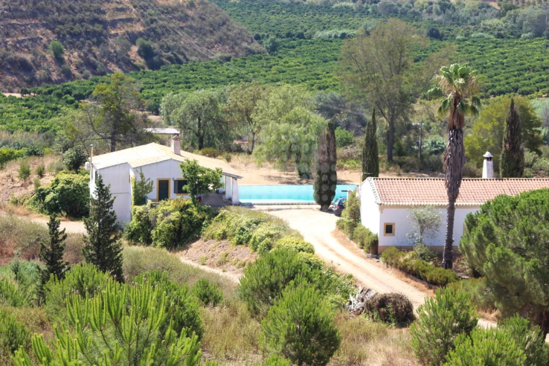 Quinta para Venda em Silves Foto 3