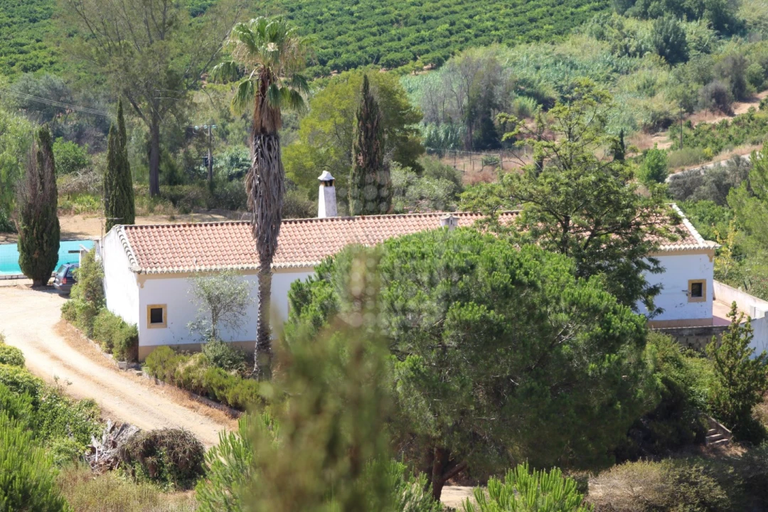 Quinta para Venda em Silves Foto 4