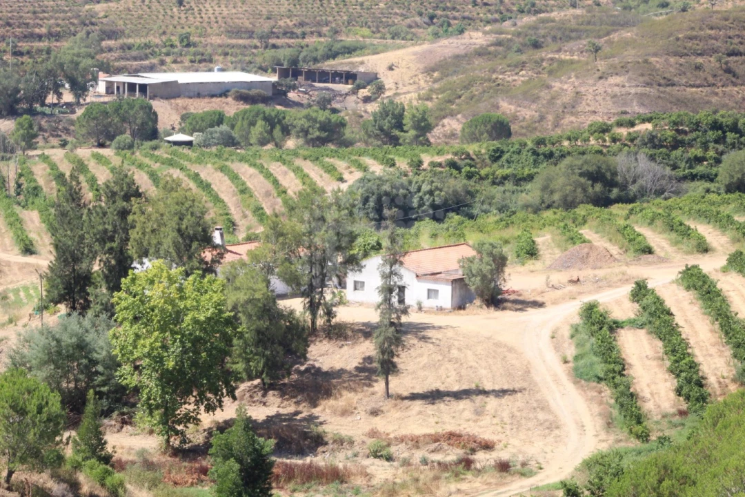 Quinta para Venda em Silves Foto 8