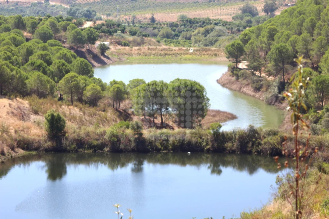 Quinta para Venda em Silves Foto 9