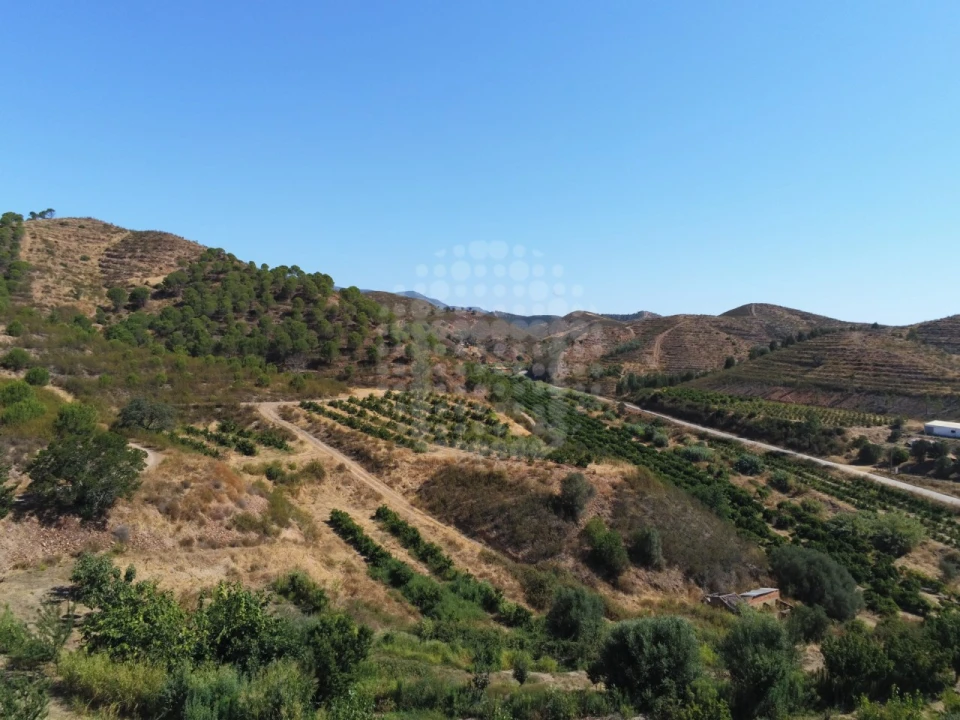 Quinta para Venda em Silves Foto 11