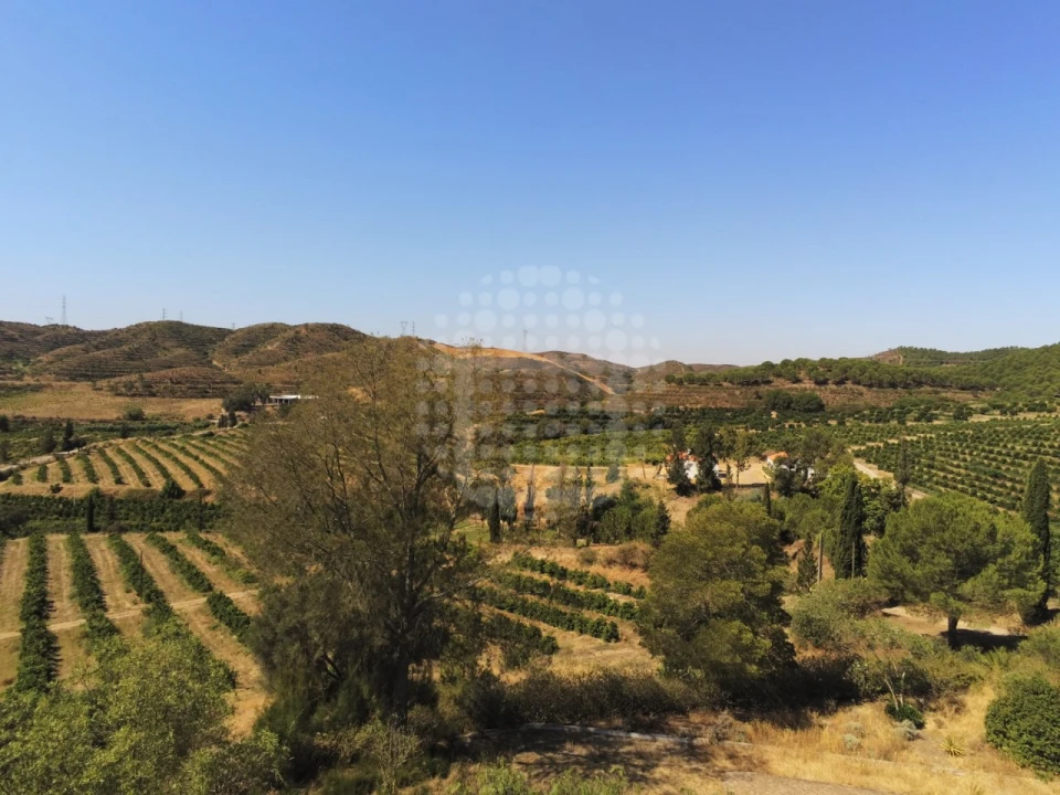 Quinta para Venda em Silves Foto 12