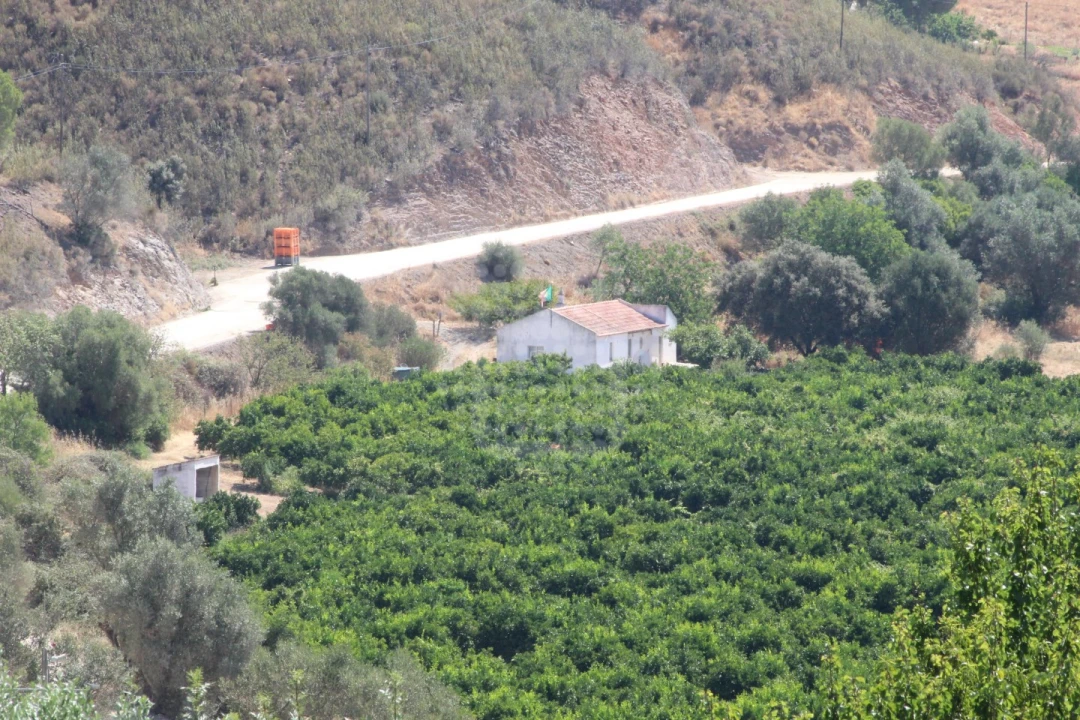 Quinta para Venda em Silves Foto 15