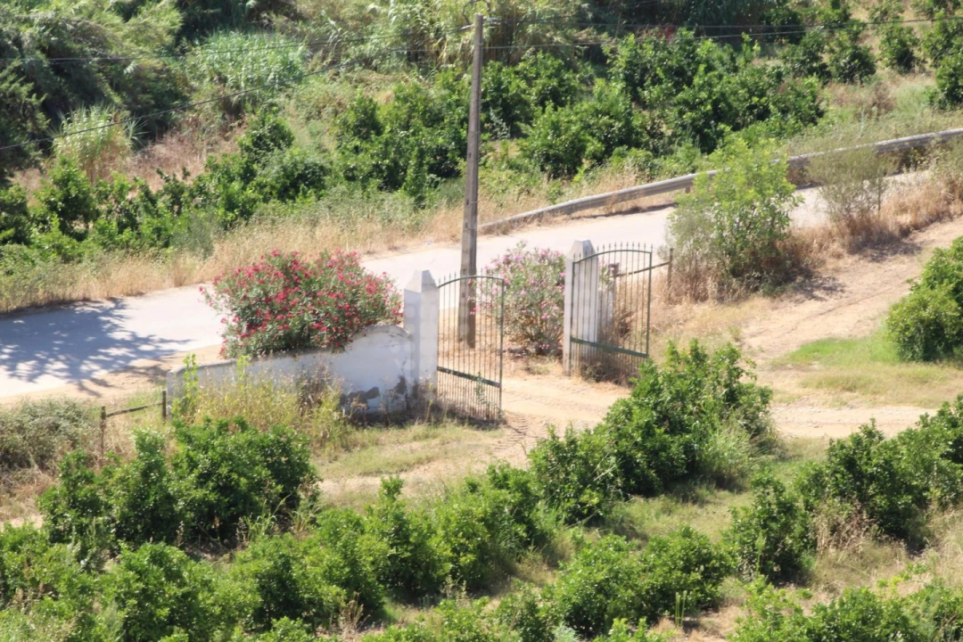 Quinta para Venda em Silves Foto 16