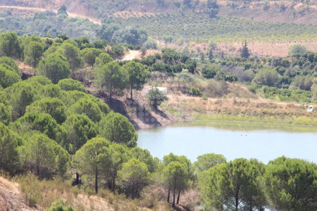 Quinta para Venda em Silves Foto 24