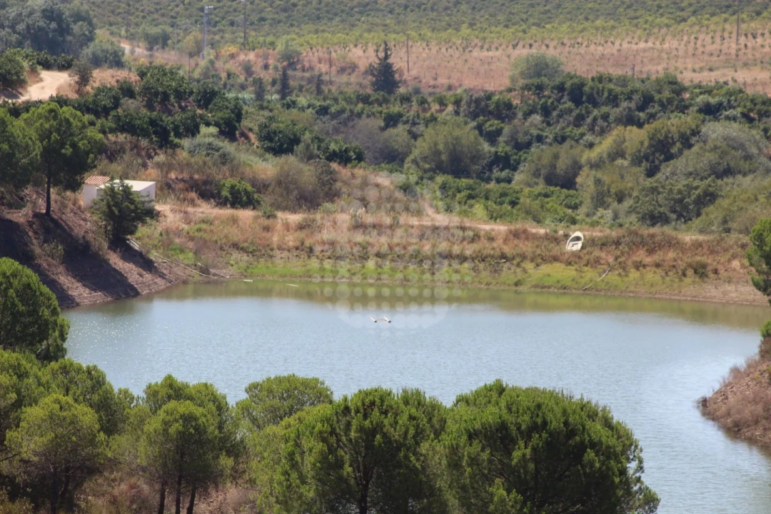 Quinta para Venda em Silves Foto 25