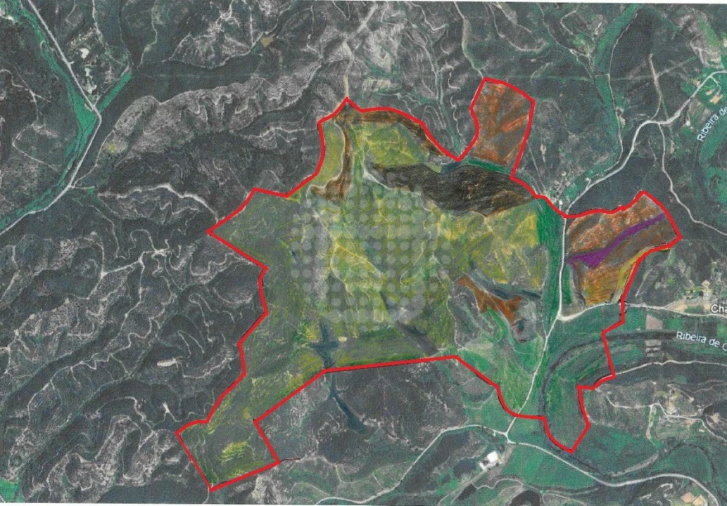 Quinta para Venda em Silves Foto 26