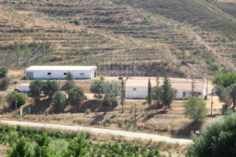 Quinta para Venda em Silves Foto 6