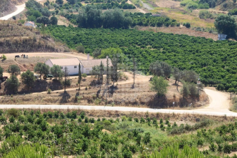Quinta para Venda em Silves Foto 7