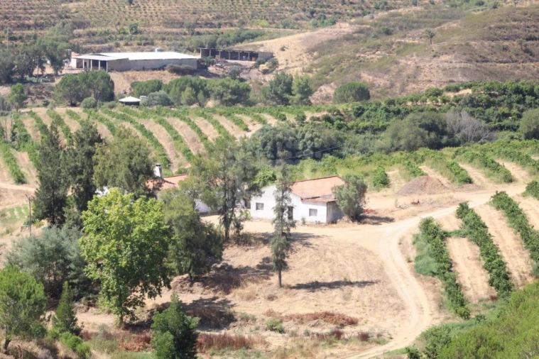 Quinta para Venda em Silves Foto 8