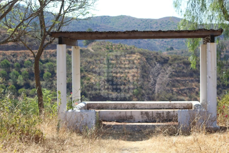 Quinta para Venda em Silves Foto 10