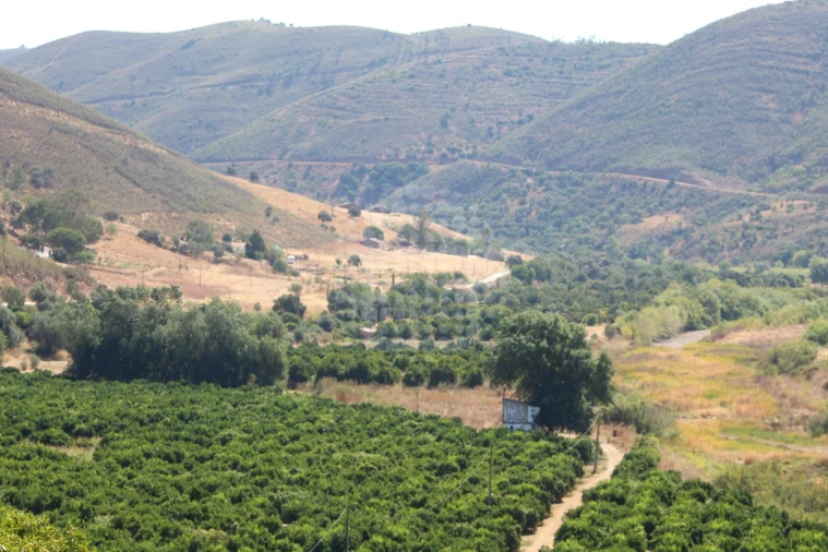 Quinta para Venda em Silves Foto 14