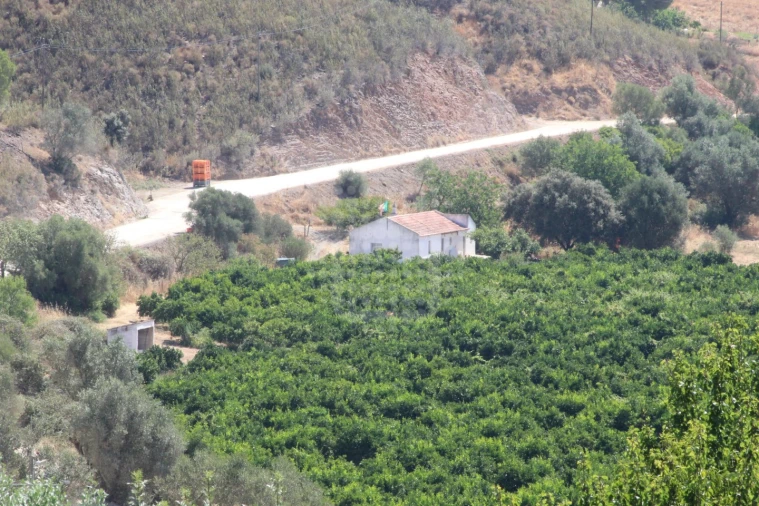 Quinta para Venda em Silves Foto 15