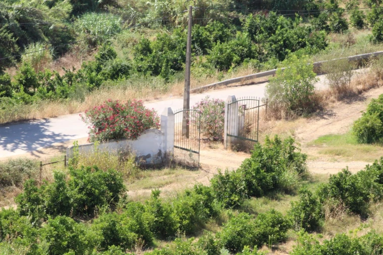 Quinta para Venda em Silves Foto 16