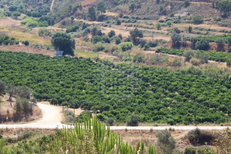 Quinta para Venda em Silves Foto 19