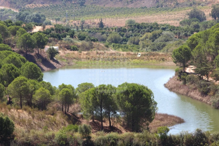 Quinta para Venda em Silves Foto 20
