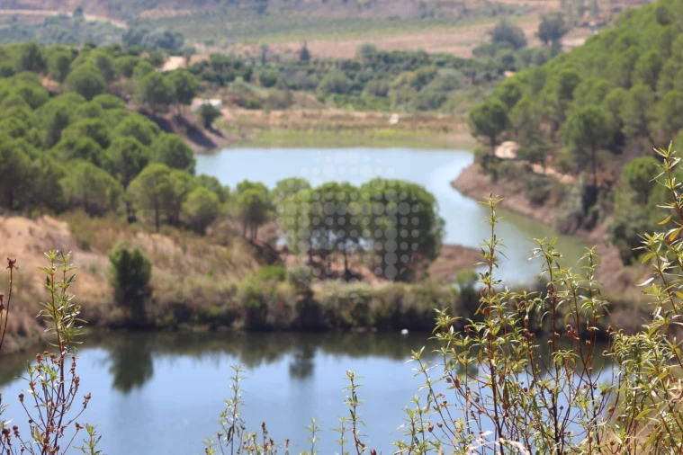Quinta para Venda em Silves Foto 21