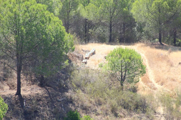 Quinta para Venda em Silves Foto 22