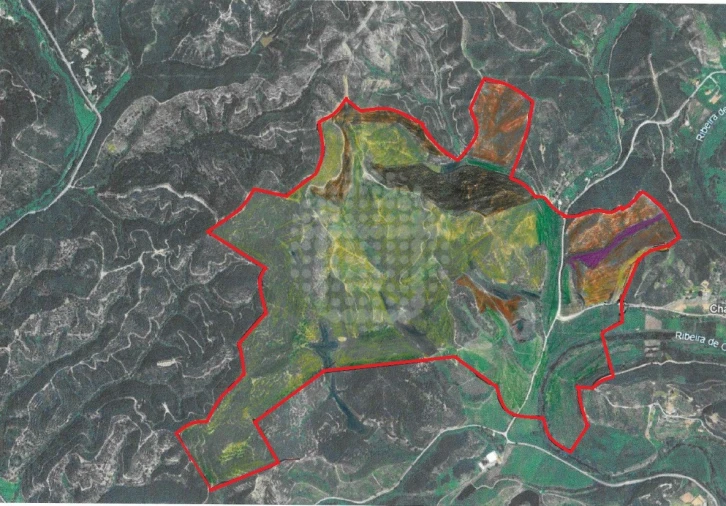 Quinta para Venda em Silves Foto 26