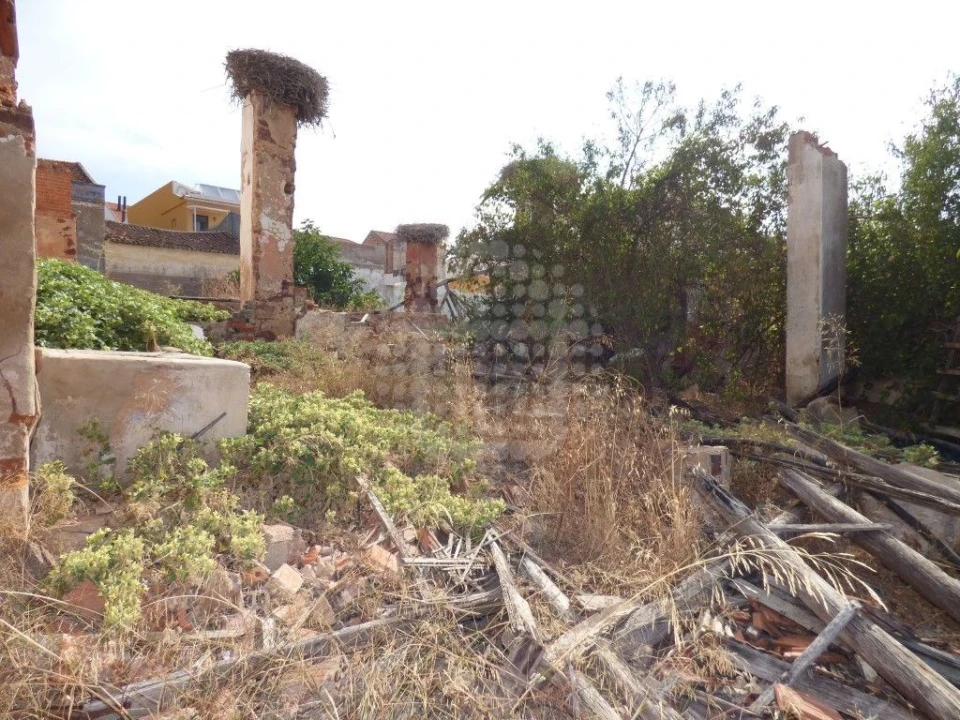 Negócio para Venda em Silves Foto 3