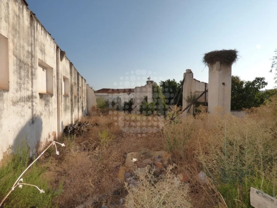 Negócio para Venda em Silves Foto 9