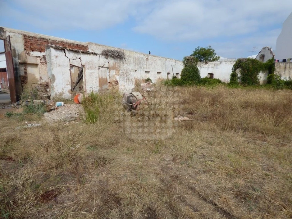 Negócio para Venda em Silves Foto 10
