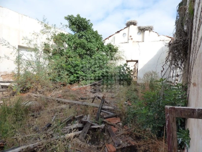 Negócio para Venda em Silves Foto 7