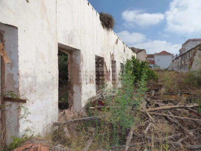 Negócio para Venda em Silves Foto 12