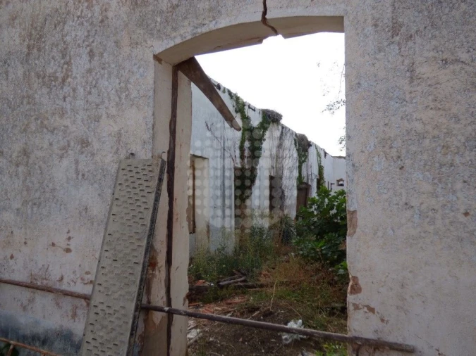 Negócio para Venda em Silves Foto 16