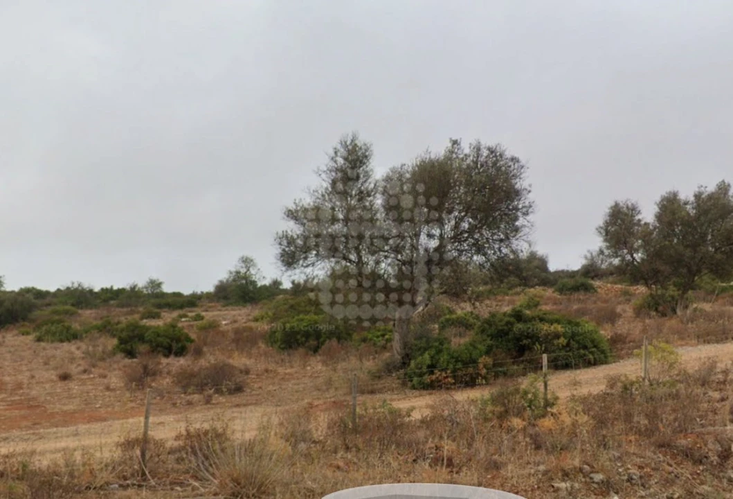 Terreno Agricola ou Rústico para Venda em Paderne Foto 2