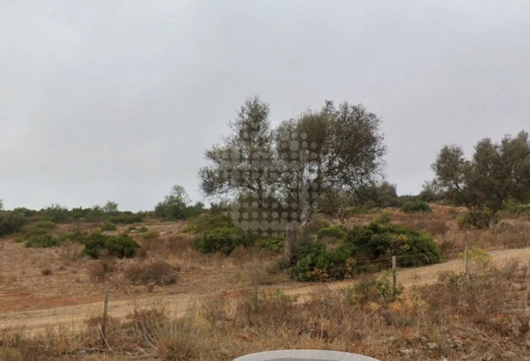 Terreno Agricola ou Rústico para Venda em Paderne Foto 2