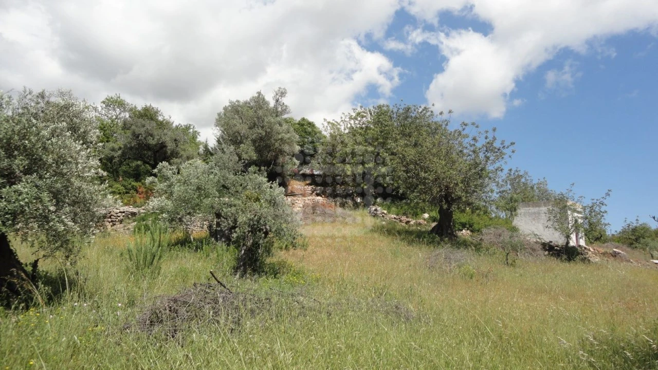 Terreno Agricola ou Rústico para Venda em São Brás de Alportel Foto 1