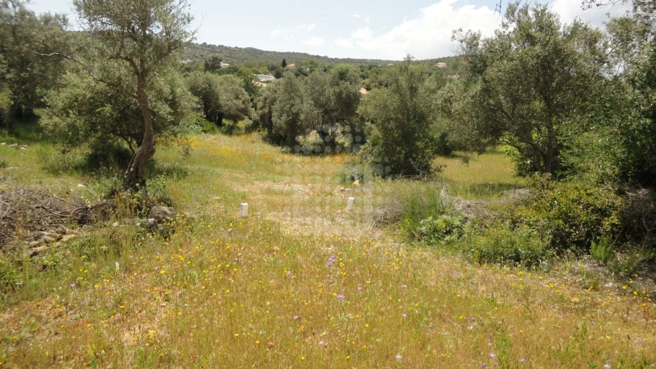 Terreno Agricola ou Rústico para Venda em São Brás de Alportel Foto 5