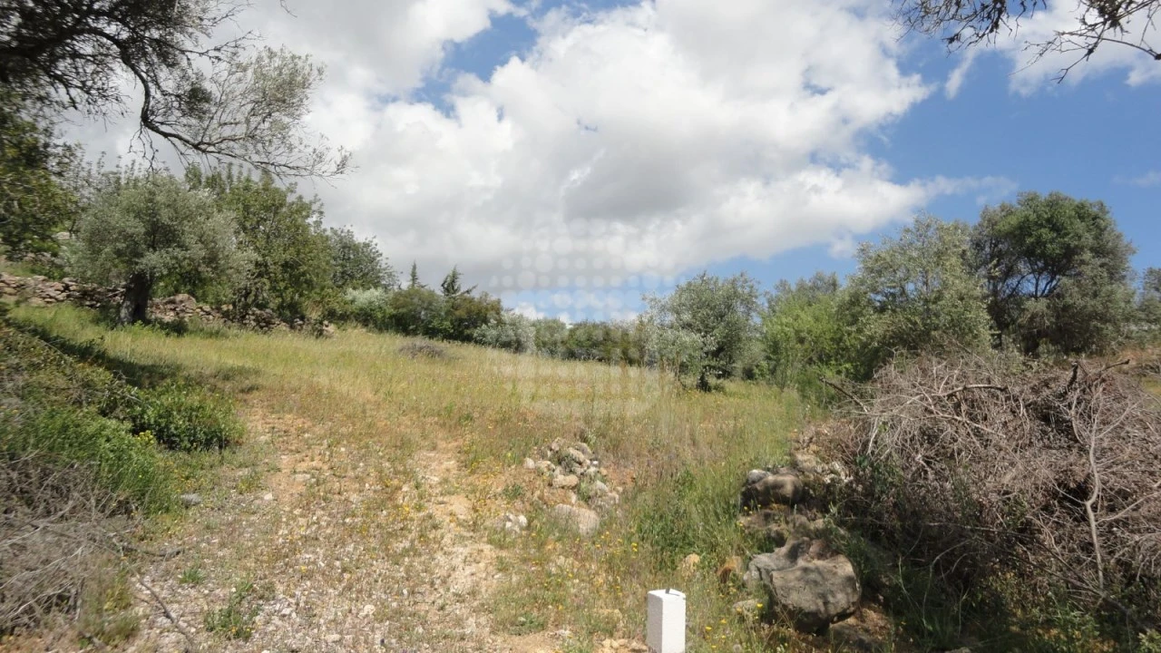 Terreno Agricola ou Rústico para Venda em São Brás de Alportel Foto 6