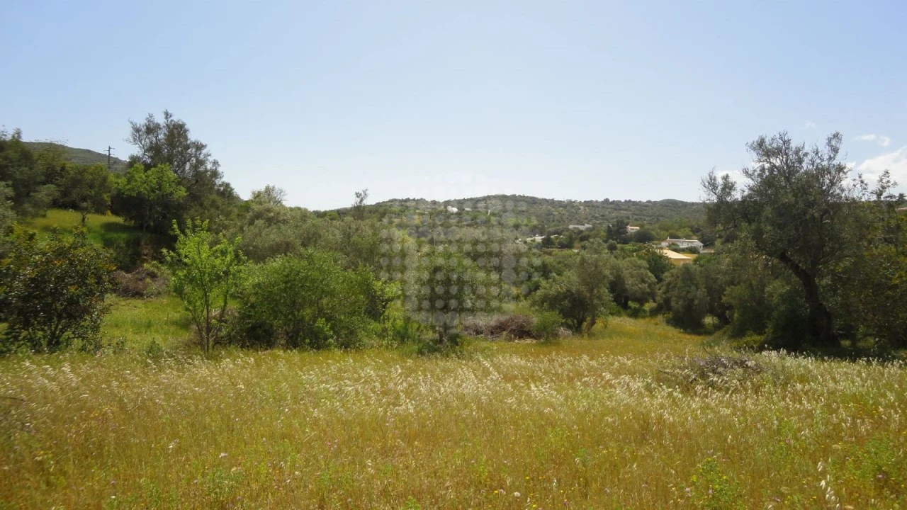 Terreno Agricola ou Rústico para Venda em São Brás de Alportel Foto 8