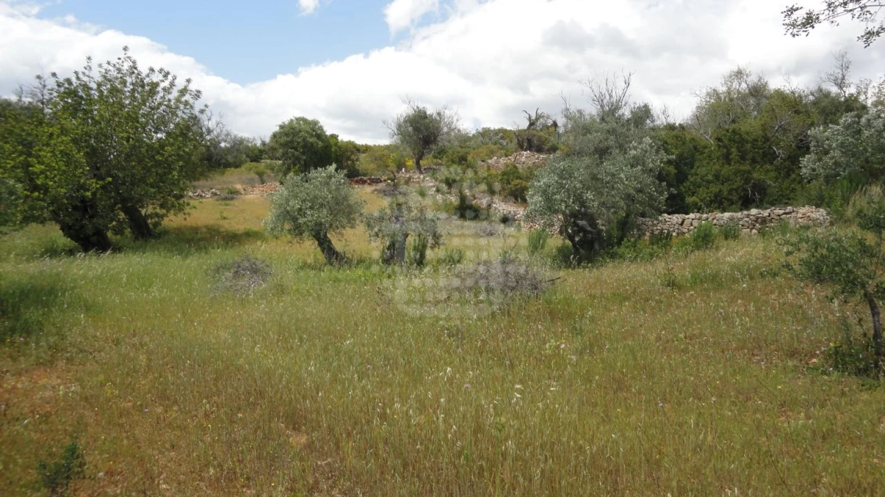Terreno Agricola ou Rústico para Venda em São Brás de Alportel Foto 10