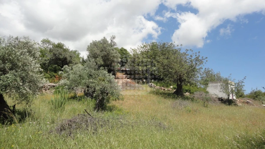 Terreno Agricola ou Rústico para Venda em São Brás de Alportel Foto 1