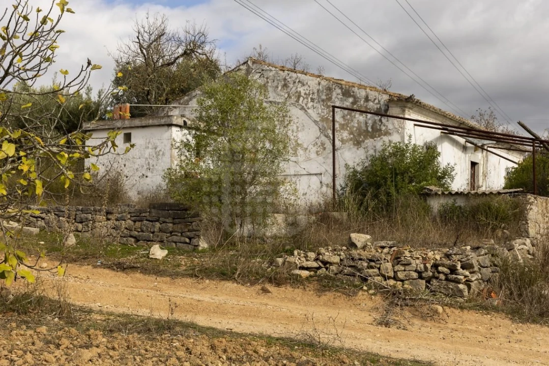 Terreno para Venda em Loule (São Clemente) Foto 3