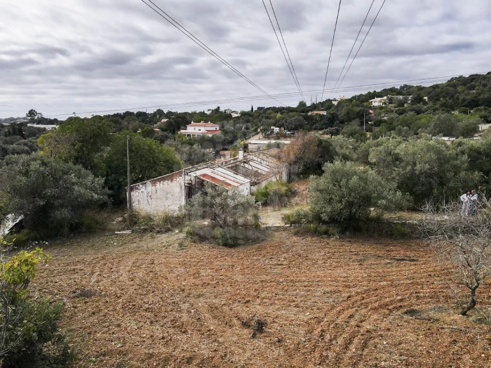 Terreno para Venda em Loule (São Clemente) Foto 4