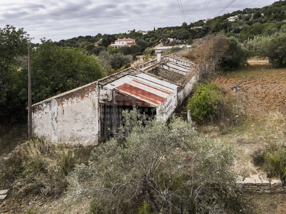 Terreno para Venda em Loule (São Clemente) Foto 5