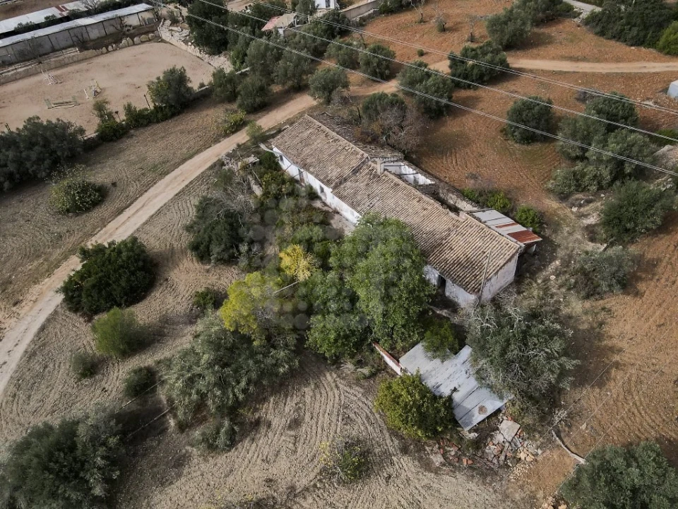 Terreno para Venda em Loule (São Clemente) Foto 7