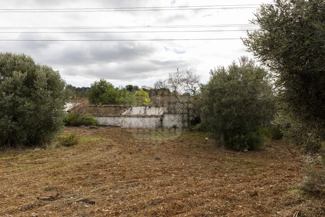 Terreno para Venda em Loule (São Clemente) Foto 10