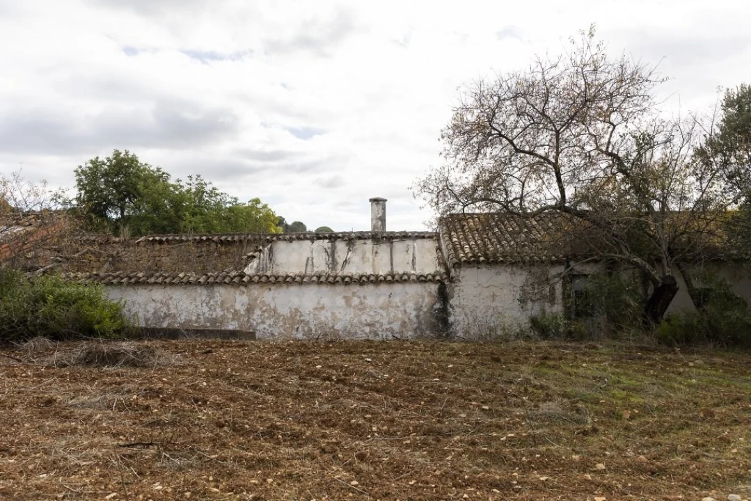 Terreno para Venda em Loule (São Clemente) Foto 11