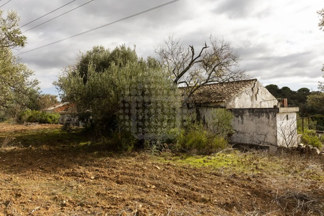 Terreno para Venda em Loule (São Clemente) Foto 13